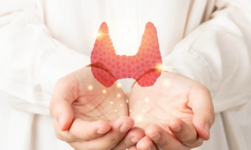 U tuyến giáp ác tính có nguy hiểm không? Nguyên nhân, triệu chứng và phương pháp điều trị