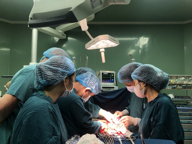 U xơ tử cung có di truyền không? Dấu hiệu nhận biết u xơ tử cung và hướng điều trị 4