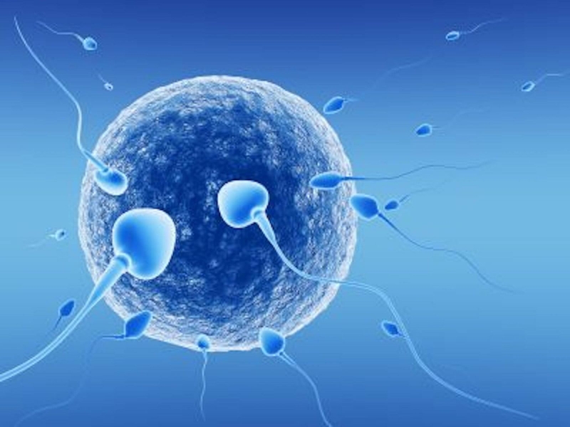 U xơ tử cung có làm ivf được không?