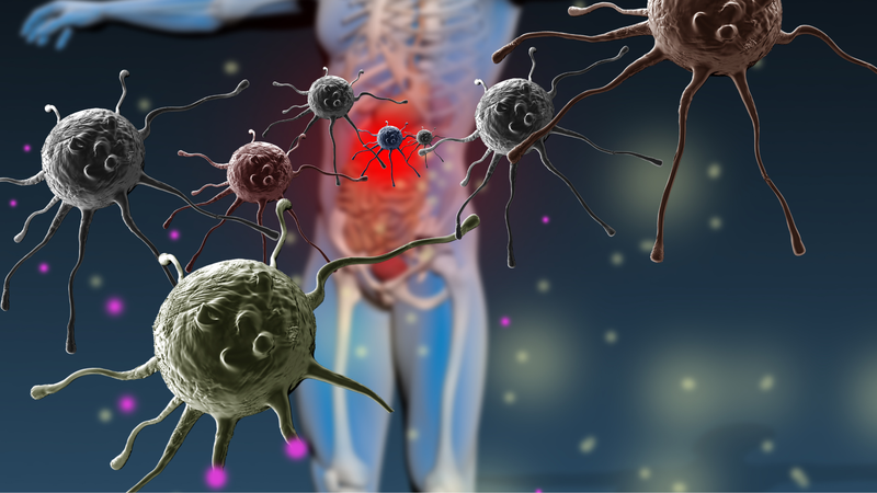 Ức chế miễn dịch là gì? Thuốc ức chế hệ miễn dịch cơ thể 1