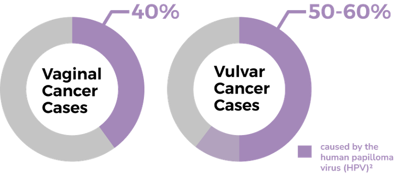 Ung thư âm đạo là gì? Những vấn đề cần biết về Ung thư âm đạo2.png