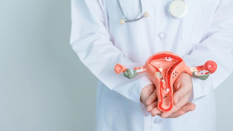 Ung thư cổ tử cung có chữa được không? Mức độ nguy hiểm của bệnh 2