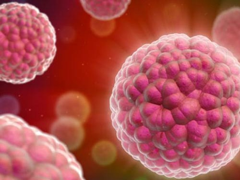 Bệnh ung thư có lây qua đường ăn uống không? 2