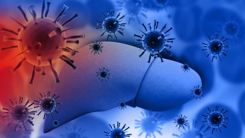 Mắc các bệnh lý gan như viêm gan do virus có thể làm tăng nguy cơ ung thư đường mật