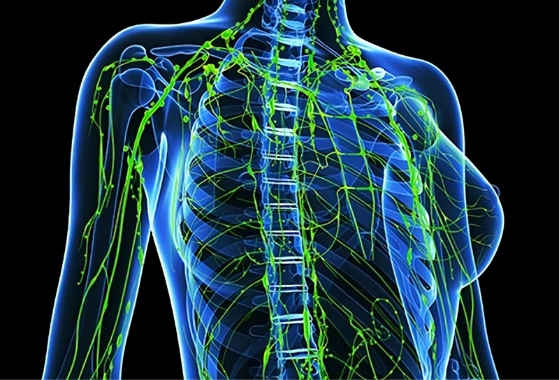 Ung thư hạch bạch huyết là gì? Nguyên nhân và một số lưu ý về bệnh cần biết 2