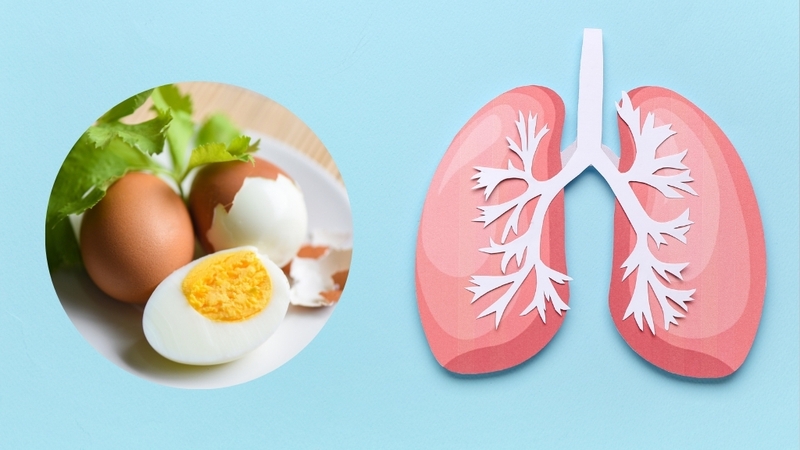 Giải đáp thắc mắc ung thư phổi có ăn trứng gà được không