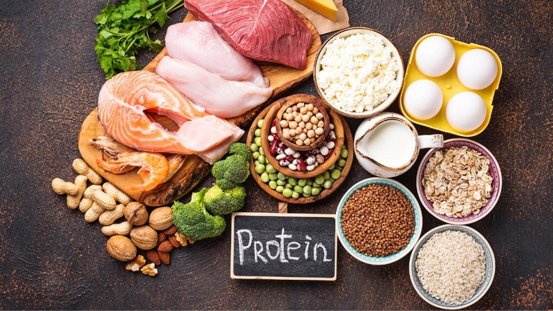 Người bệnh ung thư phổi nên bổ sung protein từ cá, thịt nạc, đậu, hạt và sữa