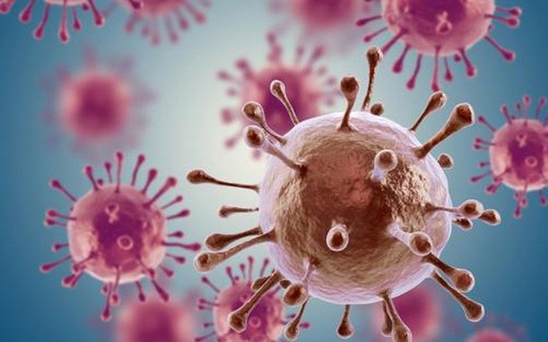 Uống Nga Phụ Khang có thai được không? Những lưu ý khi dùng Nga Phụ Khang 2