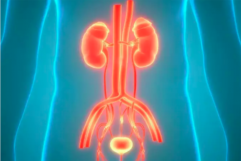 Ung thư tiền liệt tuyến là gì? Nguyên nhân ung thư tuyến tiền liệt ở nam giới 2