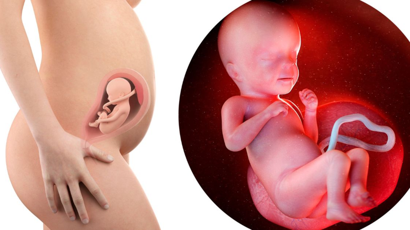 U nang giáp móng là gì? Nguyên nhân, triệu chứng và cách điều trị 5