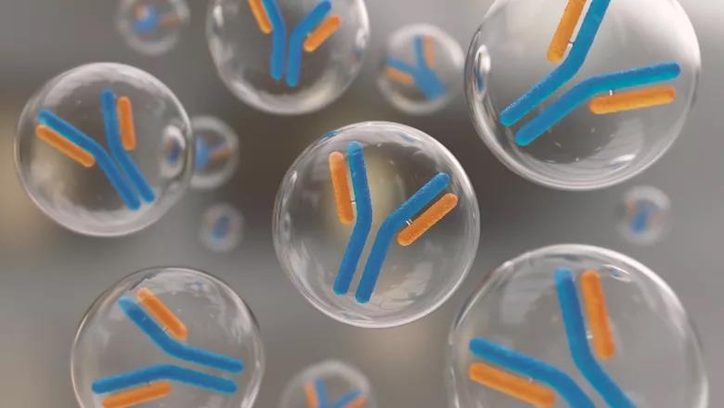 Phân biệt kháng thể và kháng nguyên trong xét nghiệm SARS-CoV-2 1