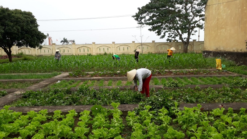 Uốn ván phát bệnh sau bao lâu 1