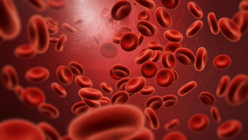 Dùng thuốc tẩy giun quá liều trong thời gian dài có thể ảnh hưởng đến hệ tạo máu