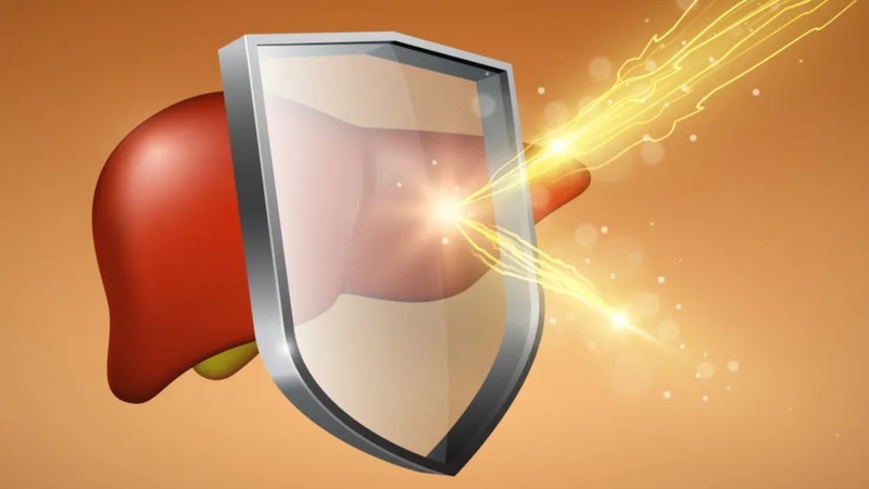 Boganic hỗ trợ chức năng gan và cải thiện sức khỏe tổng thể