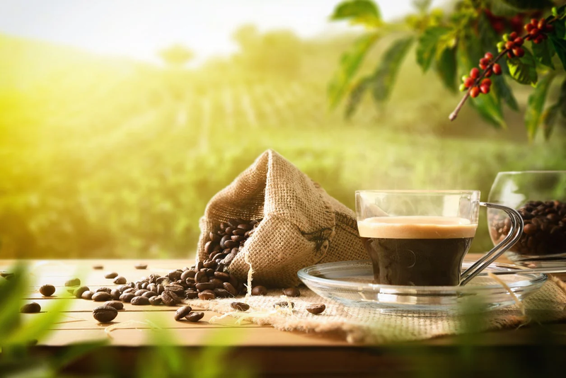 Chất chống oxy hóa dồi dào trong cà phê có thể là tác nhân khiến môi tối màu