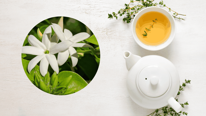 Uống cao chè vằng bao lâu thì sữa về​? Hướng dẫn cách uống chè vằng lợi sữa cho mẹ 3