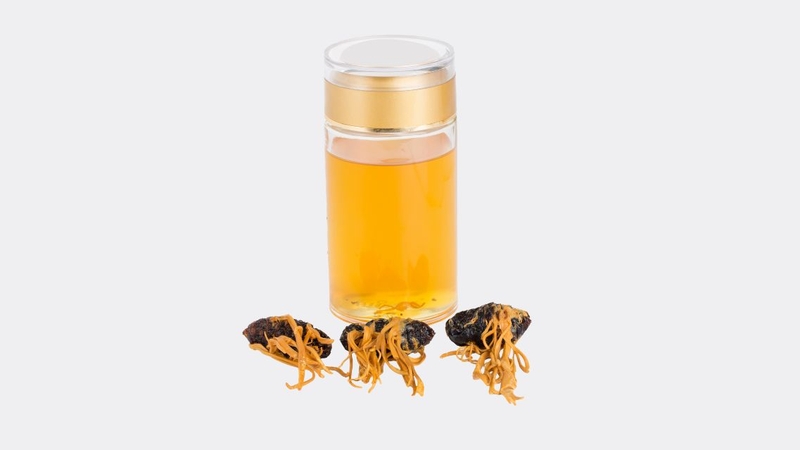 Nhiều người muốn biết uống đông trùng hạ thảo bao lâu thì có tác dụng