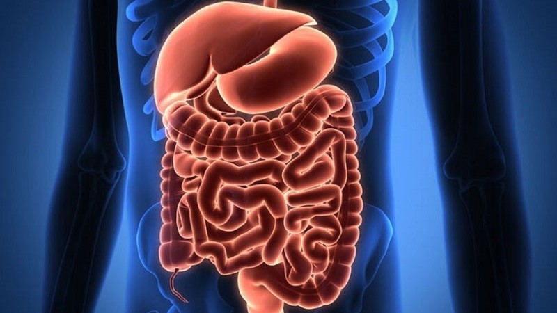 Uống enzyme có tốt không? Khi nào nên bổ sung? 1