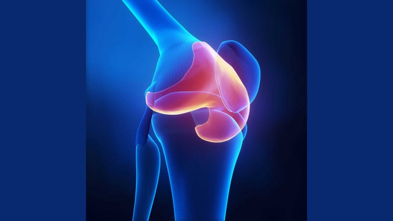 Uống glucosamine có làm mình bị tăng cân không? 1