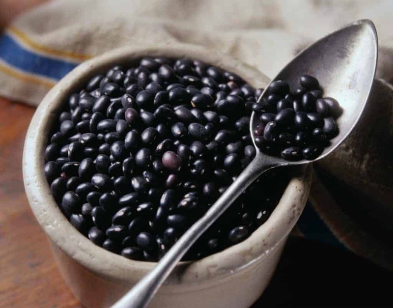 Hà thủ ô là vị thuốc có tác dụng rất tốt cho sức khỏe nên được sử dụng rộng rãi trong các bài thuốc chữa bệnh