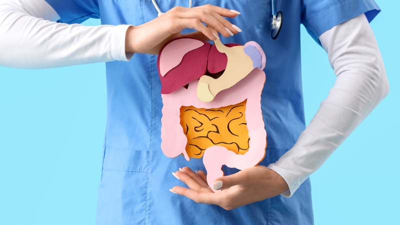 Uống đủ khoảng 2 lít nước mỗi ngày giúp hỗ trợ hoạt động của hệ tiêu hóa