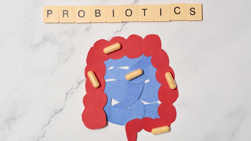 Chọn men vi sinh chất lượng giúp tăng hiệu quả bảo vệ hệ tiêu hóa