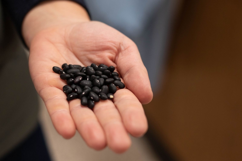 uống nước đậu đen giảm cân 1