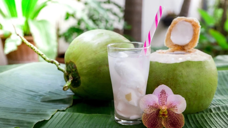 uong-nuoc-dua-co-tot-khong-nhung-dieu-can-luu-y 4