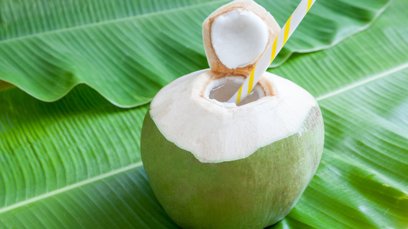 Người có cơ địa nhạy cảm với đồ uống tính mát nên thận trọng khi uống nước dừa vào buổi sáng