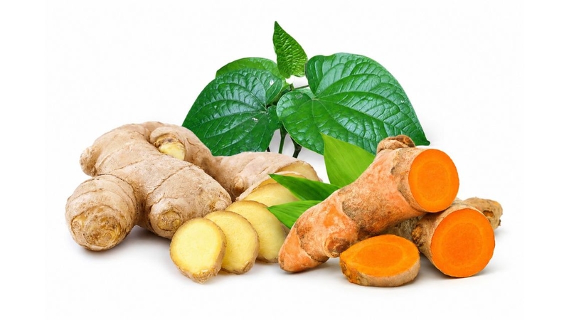 Nhiều người chưa biết&nbsp;uống nước lá lốt gừng nghệ có tác dụng gì