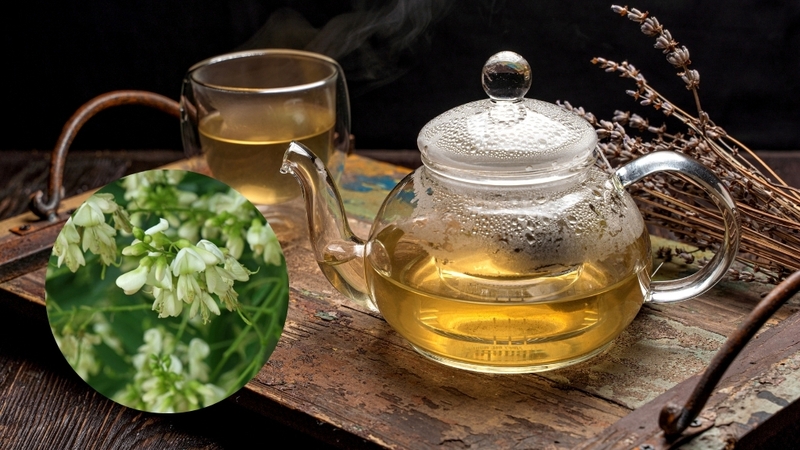 Giải đáp thắc mắc uống nước hoa hòe hàng ngày có tốt không