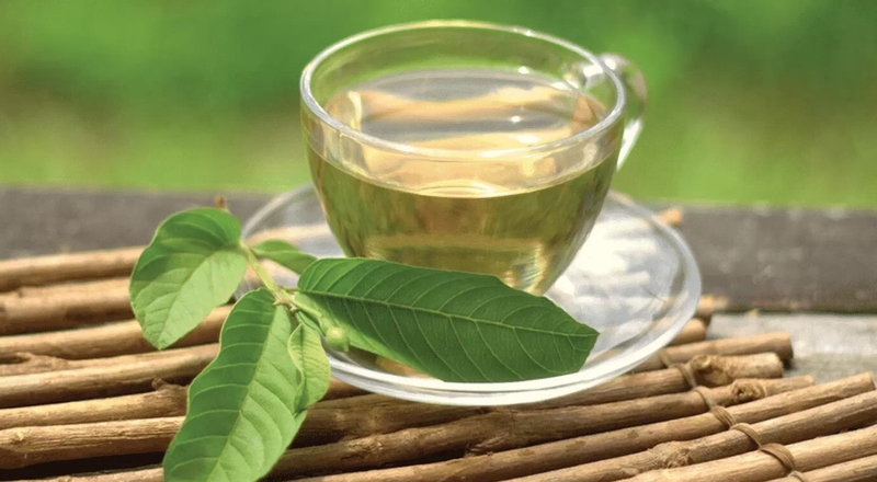 Hiệu quả giảm cân của nước lá ổi phụ thuộc vào chế độ ăn uống, vận động và cơ địa mỗi người