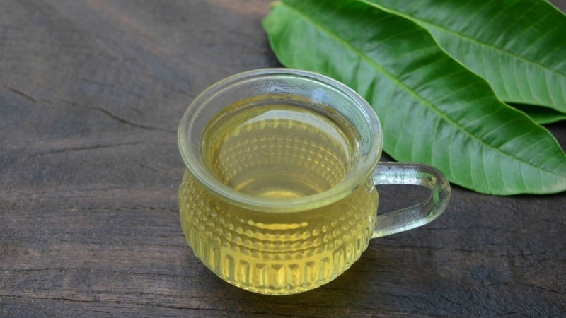 Nước lá ổi được nhiều người sử dụng để hỗ trợ kiểm soát cân nặng