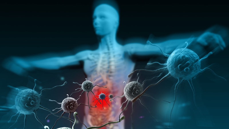 Rau dền gai giàu vitamin, khoáng chất và chất chống oxy hóa giúp tăng cường miễn dịch và bảo vệ cơ thể khỏi mệt mỏi