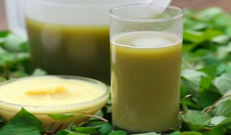 Uống nước rau diếp cá đun sôi có tác dụng gì và lưu ý khi sử dụng 3