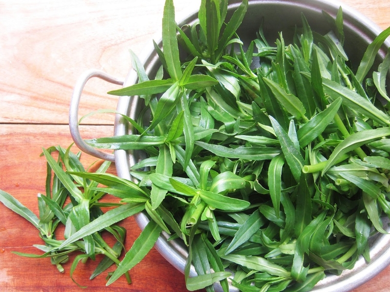 Bật mí bài thuốc dân gian uống nước rau ngổ trị sởi cho trẻ 2