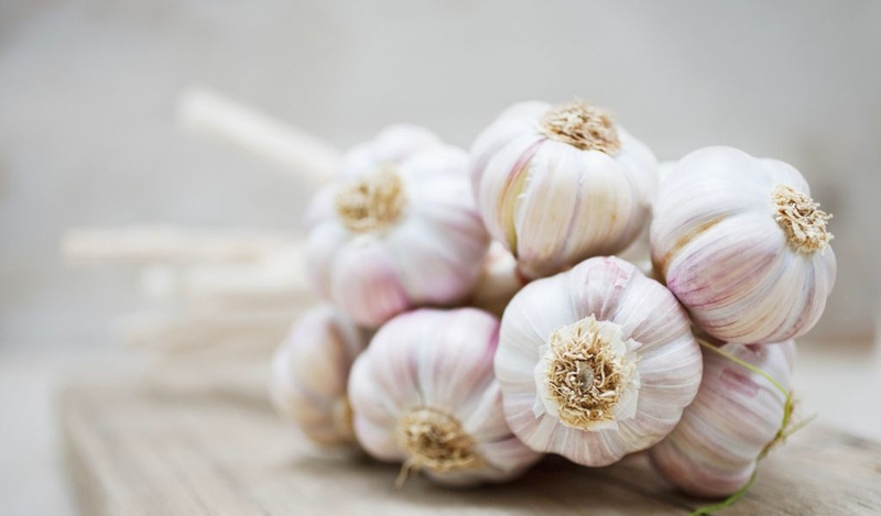Uống nước tỏi đun sôi có tác dụng gì? Cần lưu ý những gì? 3