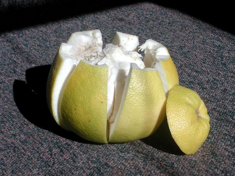 Vỏ bưởi hỗ trợ làm đẹp da, ngăn mụn và giúp da khỏe hơn mỗi ngày