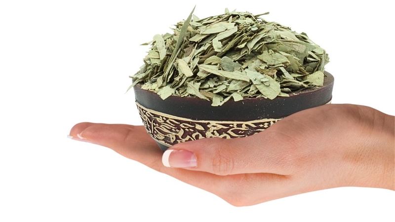 Phan tả diệp chỉ nên dùng ngắn hạn để hỗ trợ điều trị táo bón