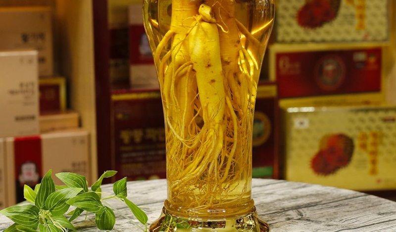 Uống rượu sâm có tốt không? Cách uống rượu sâm hiệu quả? 1