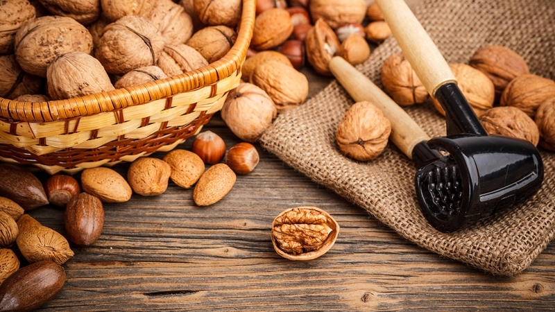 Uống sữa óc chó có thông minh không? Các kết luận từ thực tế 3