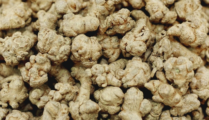 Uống tam thất có giảm mỡ máu không 2