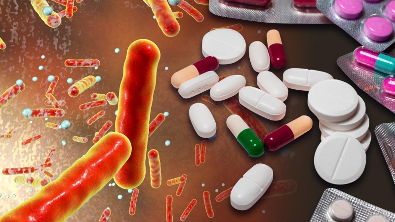 Uống thuốc kháng sinh có được uống rượu không? Tác hại của rượu bia đến cơ thể1