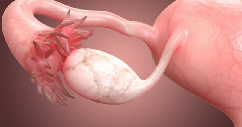 Uống thuốc kích trứng có bị chậm kinh không? Tác dụng phụ của thuốc kích trứng 4