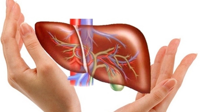 Uống thuốc tây nhiều có hại gan không? Dấu hiệu ra sao? 1