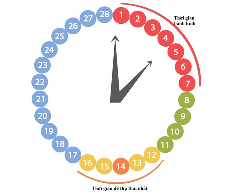 Uống thuốc tránh thai khẩn cấp khi nào để an toàn và hiệu quả nhất 1