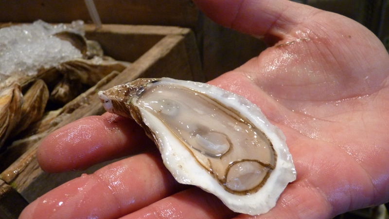 Uống tinh chất hàu có sinh con trai không - Tìm hiểu ngay! 1