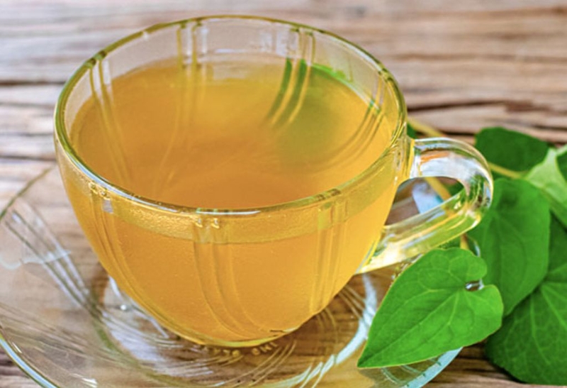 Uống trà diếp cá và những lợi ích ai cũng nên biết 2