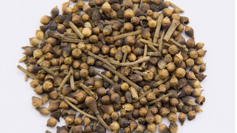 Uống trà nụ vối có tác dụng gì? 1