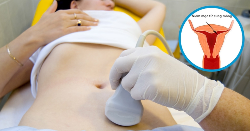 Uống vitamin e có làm dày niêm mạc tử cung không 1